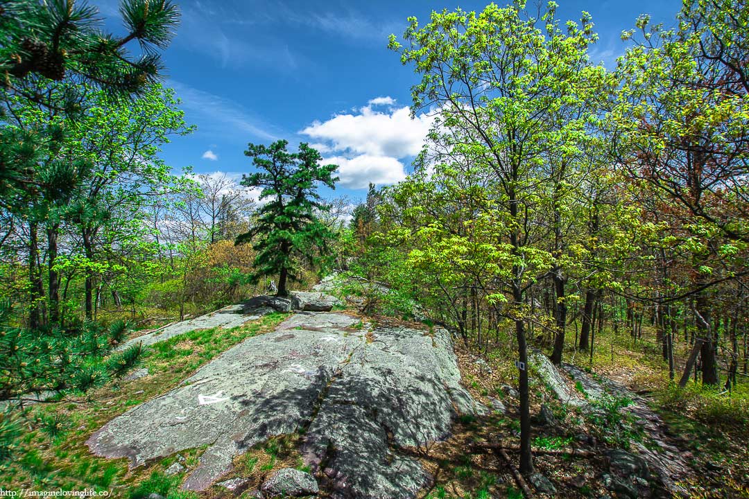 Appalachian Trail And Blue Trail Intersection